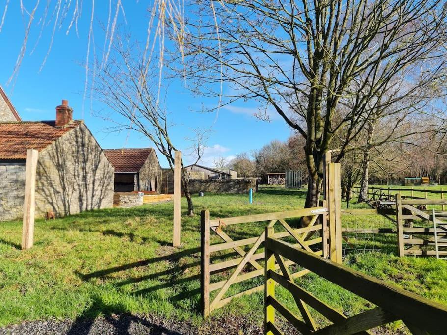 The Little Cottage - Peaceful, Dog Friendly Cottage In 5 Acres 글라스턴버리 외부 사진