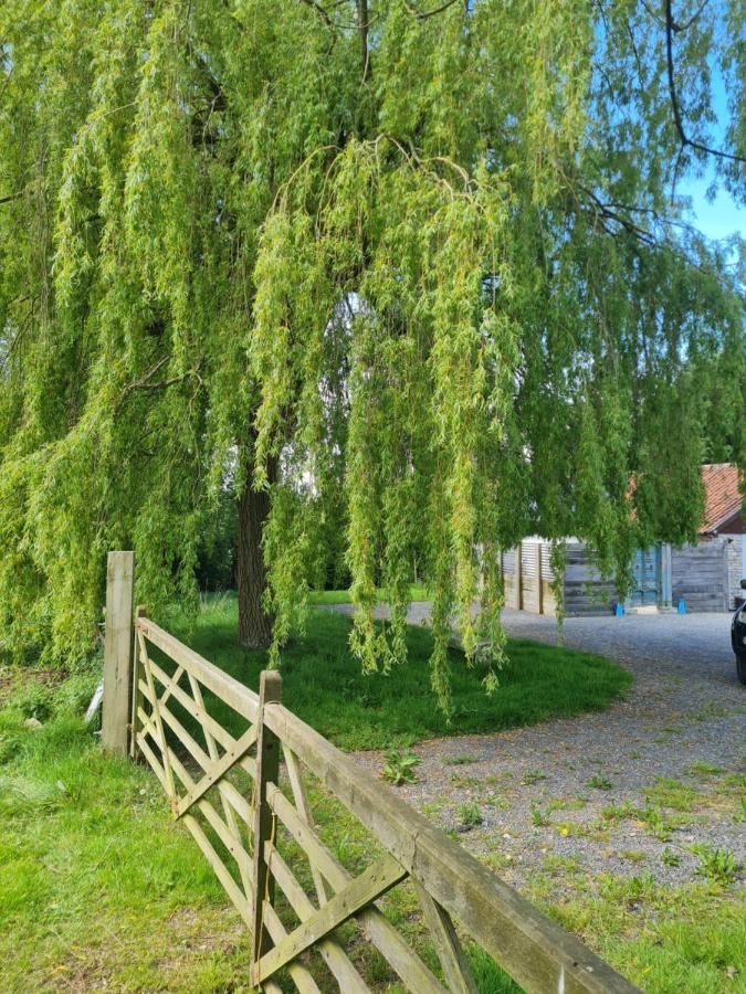 The Little Cottage - Peaceful, Dog Friendly Cottage In 5 Acres 글라스턴버리 외부 사진